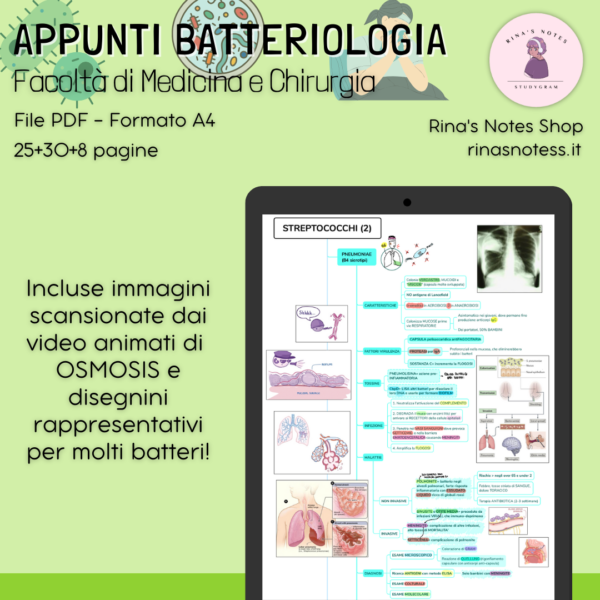 Mappe e Appunti BATTERIOLOGIA - Medicina e Chirurgia - immagine 2