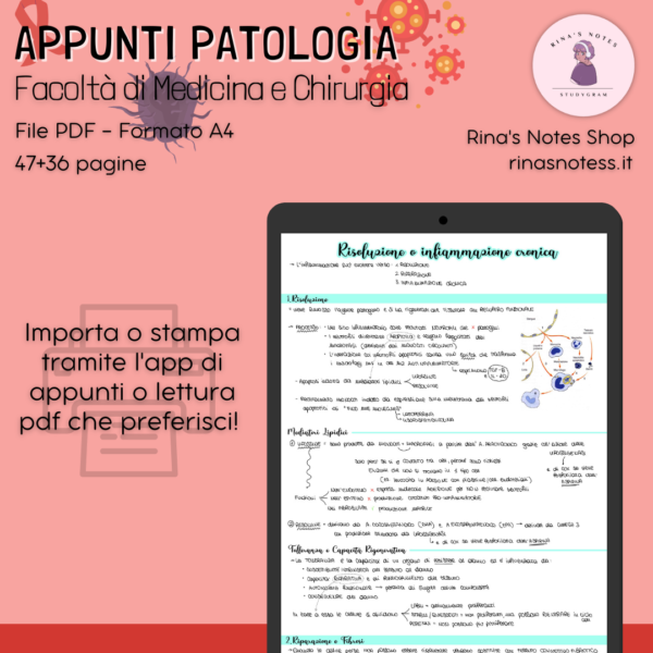 Appunti PATOLOGIA GENERALE - Medicina e Chirurgia - immagine 3