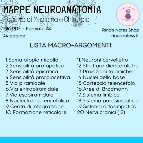 Mappe NEUROANATOMIA - Medicina e Chirurgia - immagine 4
