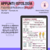 Appunti ISTOLOGIA - Medicina e Chirurgia - immagine 3