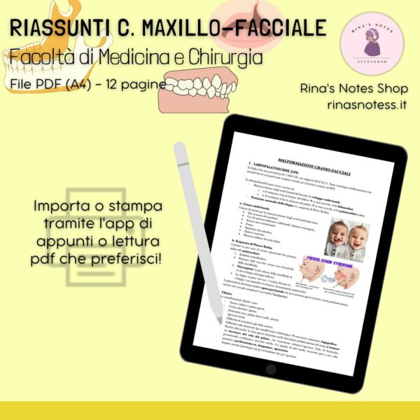 Riassunti di C. MAXILLO-FACCIALE - Medicina e Chirurgia - immagine 2