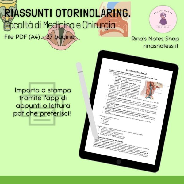 Riassunti di OTORINOLARINGOIATRIA - Medicina e Chirurgia - immagine 2