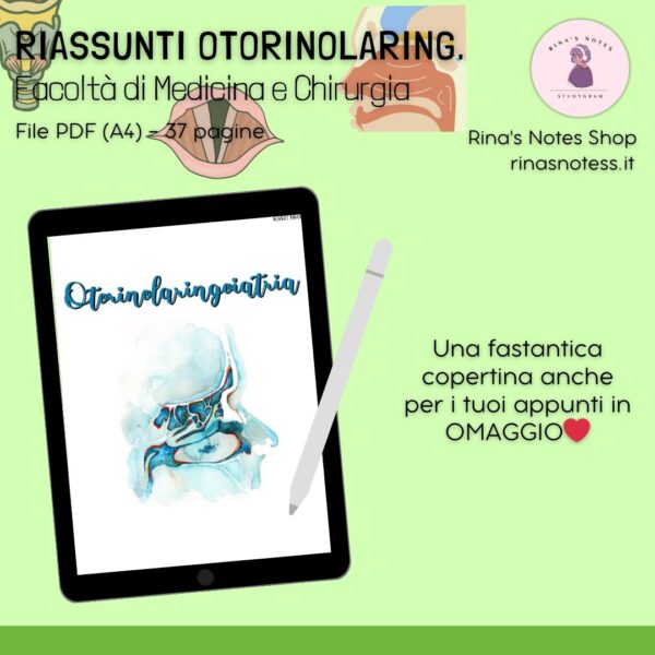 Riassunti di OTORINOLARINGOIATRIA - Medicina e Chirurgia - immagine 3